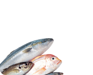 Рыба и Морепродукты